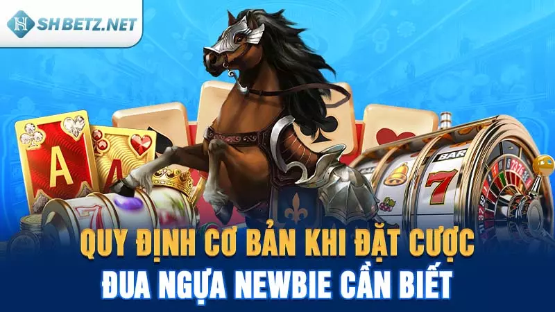 Quy định cơ bản khi đặt cược đua ngựa Newbie cần biết