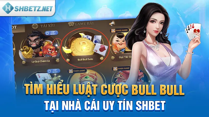 Tìm hiểu luật cược Bull Bull tại nhà cái uy tín SHBET