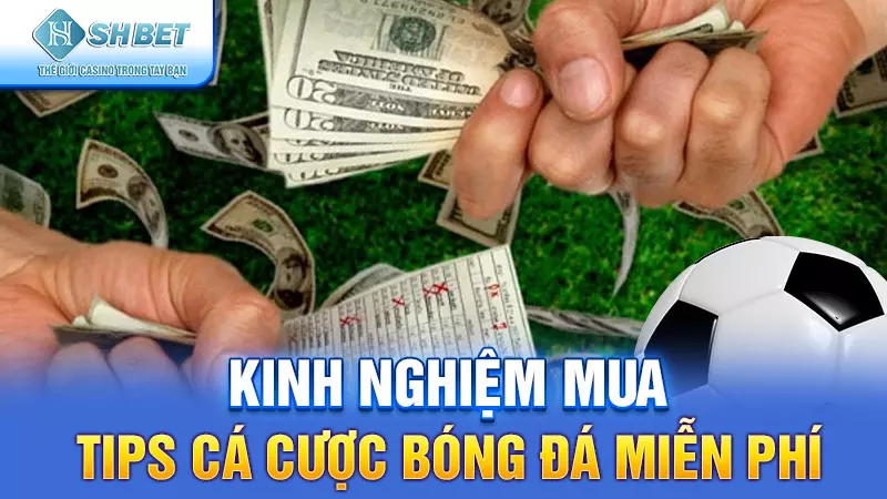 Kinh nghiệm mua tips cá cược bóng đá miễn phí