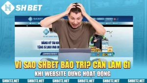 Vì Sao SHBET Bảo Trì? Cần Làm Gì Khi Website Dừng Hoạt Động