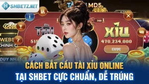 Cách Bắt Cầu Tài Xỉu Online Tại SHBET Cực Chuẩn, Dễ Trúng