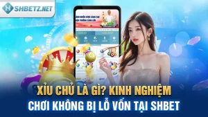 Xỉu Chủ Là Gì? Kinh Nghiệm Chơi Không Bị Lỗ Vốn Tại SHBET